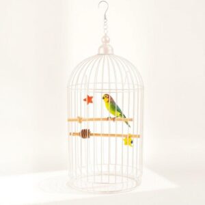 Premium Bird Cage Set